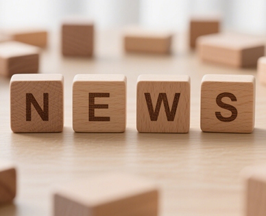 木托盤(pán)：被低估的“物流基石”，如何用自然之力重塑供應(yīng)鏈韌性